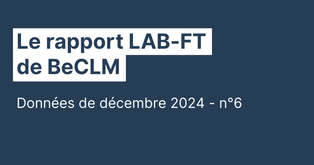 rapport lcb-ft decembre 2024